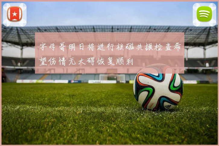 字母哥明日将进行核磁共振检查希望伤情无大碍恢复顺利