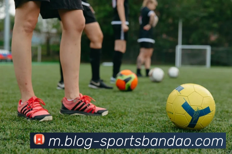 半岛体育平台生态图