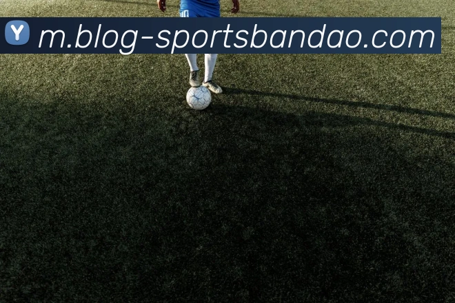 半岛体育APP 封面图